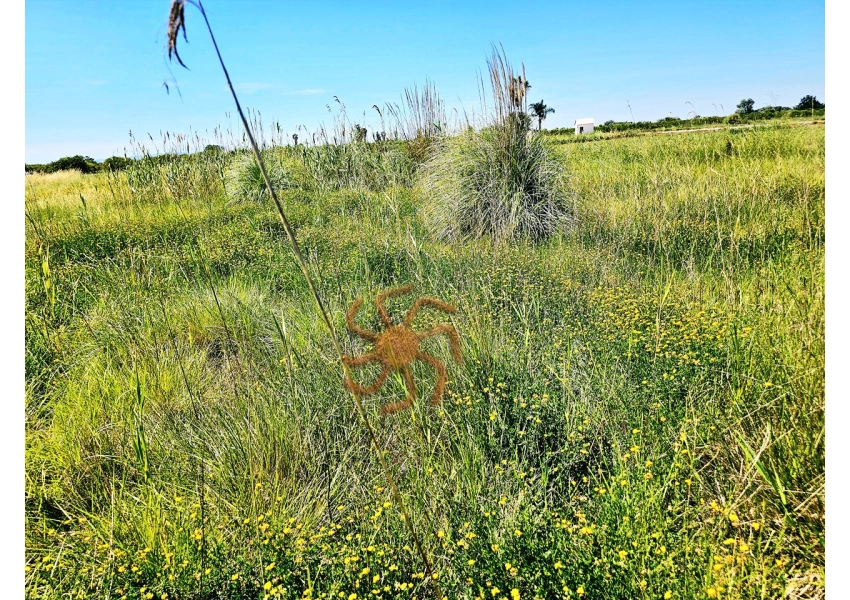 Działka rolna pod kampera w Hiszpanii